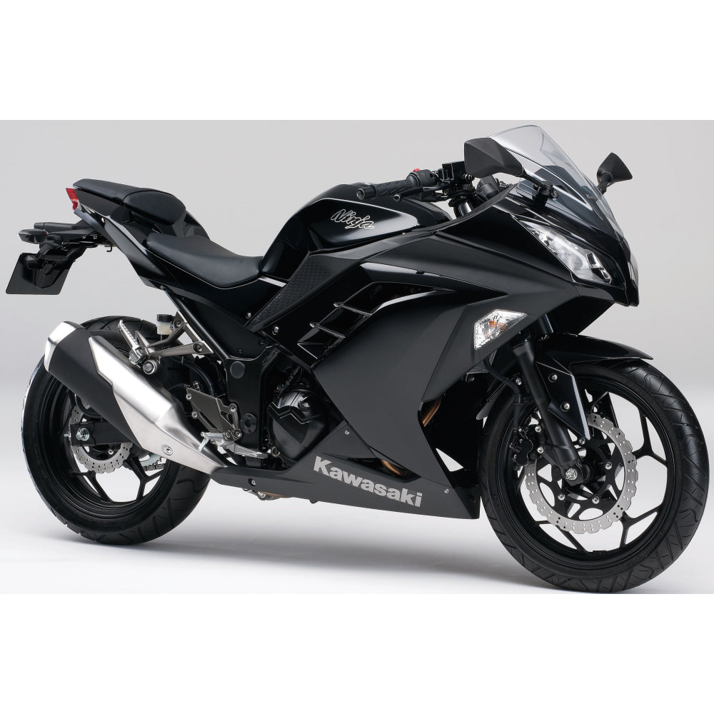 KAWASAKI(カワサキ) Ninja250 EX250L